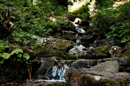 Waterfall in the forest. Forest landscape