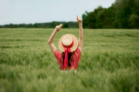 Young woman in dress and hat in green field of barley in countryside. Tranquil rural momentの写真素材