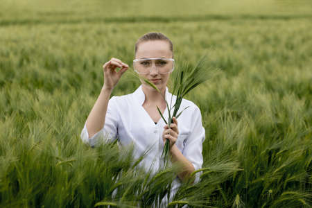 Ecologist in a white coat and glasses examining plants.の写真素材
