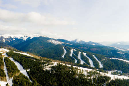 Aerial view of landscape of ski and snowboard slopes through pine trees going down to winter resort in Carpathians.の写真素材