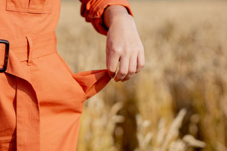 Poor wheat harvest. Lack of grain. Empty pocket.の写真素材