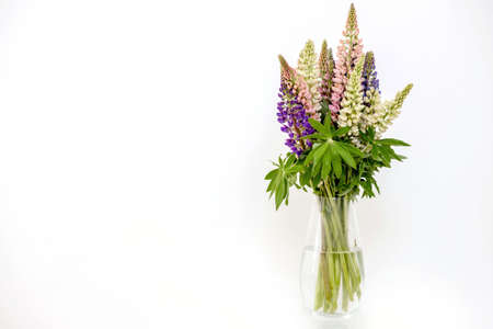 A bouquet of lupines in a transparent glass vase decorates the white interior. copyspace.の写真素材