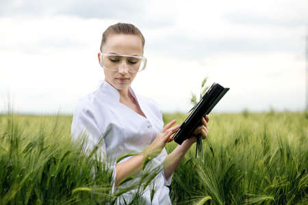 Young woman farmer wearing white bathrobe is checking harvest progress on a tablet at the green wheat field. New crop of wheat is growing. Agricultural and farm conceptの写真素材