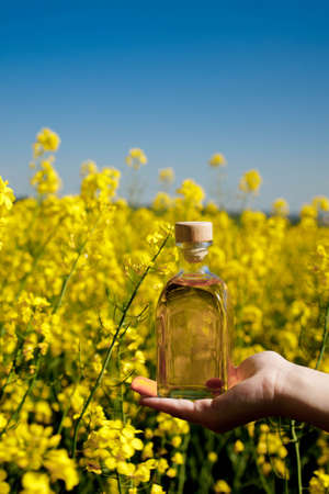 Rapeseed oil in a transparent glass bottle in hand on a background of rapeseed field.の写真素材