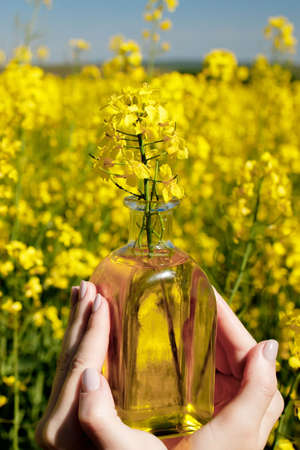 Rapeseed oil in a transparent glass bottle in hand on a background of rapeseed field.の写真素材