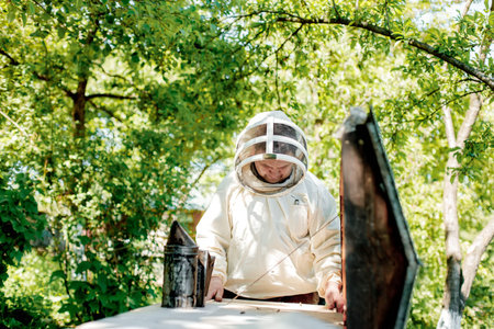 A careful beekeeper removes honeycombs with bees for inspection. Experienced beekeeper. The concept...