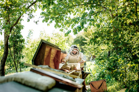 Beekeeper on apiary. Beekeeper is working with bees and beehives on the apiary