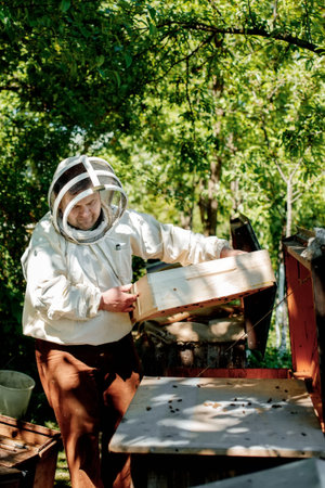 Beekeeper on apiary. Beekeeper is working with bees and beehives on the apiary