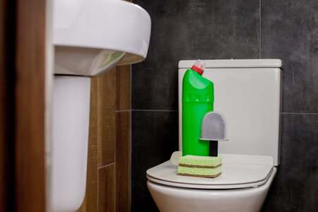 Toilet cleaner, a toilet brush and a washcloth on the toilet. toilet cleaning. Cleaning tools and instruments.の写真素材