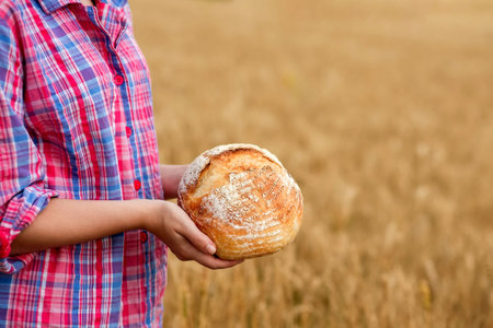 A female farmer in a straw hat and checkered shirt holds fragrant bread in her hands on a ripe wheat...