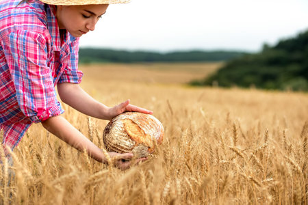 A woman farmer holds organic grain bread in her hands on the background of a wheat field. Bread is life.の写真素材