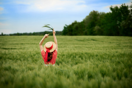 Young woman in dress and hat in green field of barley in countryside. Tranquil rural momentの写真素材