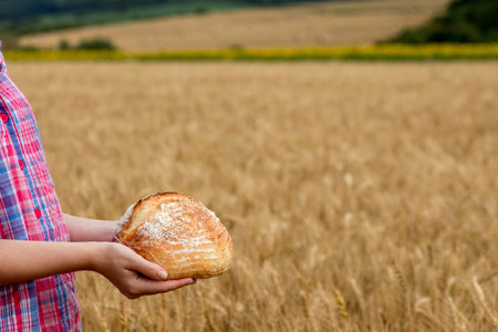 A female farmer in a straw hat and checkered shirt holds fragrant bread in her hands on a ripe wheat field. The smell of freshly baked bread.の写真素材
