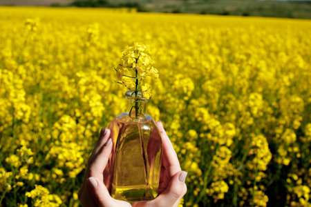 Rapeseed oil in a transparent glass bottle in hand on a background of rapeseed field.