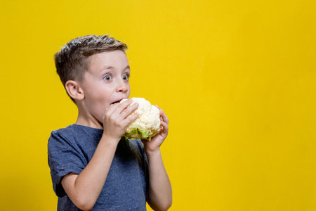 Cauliflower in the hands of a cheerful boy on a yellow background. Health food.の写真素材