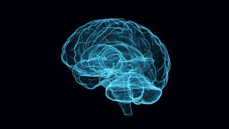 The image of the human brain, a hologram, a purple background. The concept of artificial intelligence, neural networks, robotization, machine learning. 3D render brain hologramの写真素材