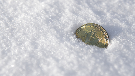 Bitcoin. Cryptocurrency on snow, in the background. The concept of freelancing, the stock exchange. Gold bitcoin on cold winter snow background. Frozen bitcoin. Frozen account. Cryptocurrency trading.の写真素材