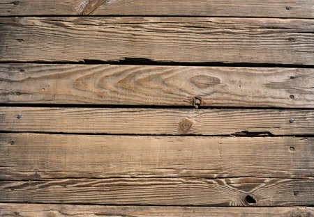 Horizont old wood texture with natural patterns. rustic weathered barn wood background with nail...
