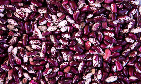 Close up violet and white beans background and as a texture. Healthy vegetarian dietary food rich in...