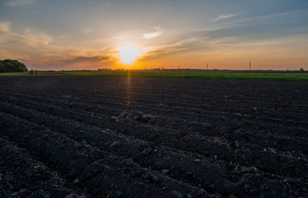 Plowed agricultural field. Landscape with agricultural land, recently plowed and prepared for the crop in sunset. Agriculture.の写真素材