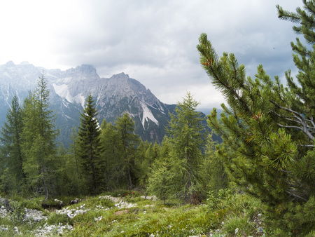View fron a top of the mountain on a beautiful landscape of Dolomites moutains and a gree coniferous forest in front in rain weather. South Tyrol, Italy, Alp. Captured on action camera.の写真素材