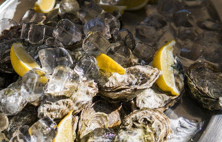 Oyster with lemon in ice in a sunny day on a foodfest.の写真素材