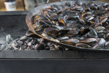 Fresh mussels at grill pan. Seafood barbecue outdoors. Picnic healthy food, mussels in shells. Plenty of mussel shells cooking at large metallic pan.の写真素材