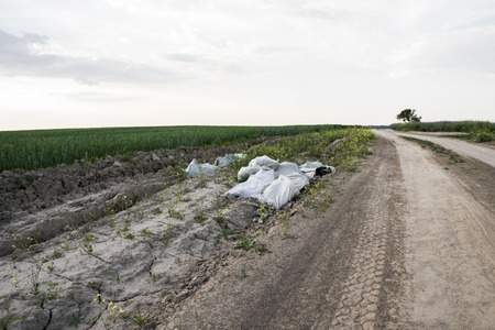 Illegal waste disposal. Pollution of the environment. Garbage in white packs was thrown among the fields with grain crops.の写真素材