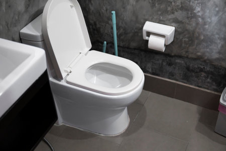 White hanging toilet seat on white toilet in the home bathroom with grey tiles in concrete style and...