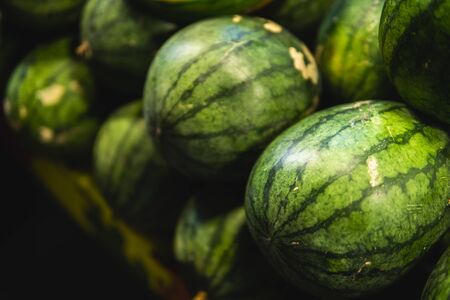 Ripe and sweet watermelons in the market. Close up. A lot of large ripe green striped watermelons. Organic farmer market, storeの写真素材