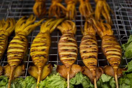 Squid grill on hot charcoal hot fire tasty delicious sea food. Grilled squid on bbq fire. Thai street food at Night Market.の写真素材