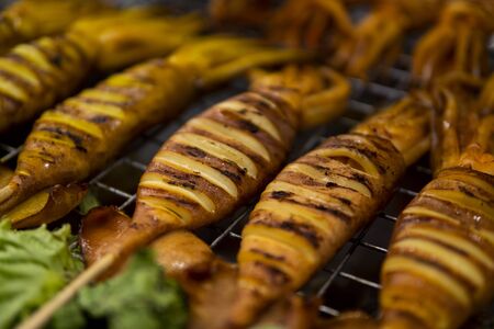 Squid grill on hot charcoal hot fire tasty delicious sea food. Grilled squid on bbq fire. Thai street food at Night Market.の写真素材