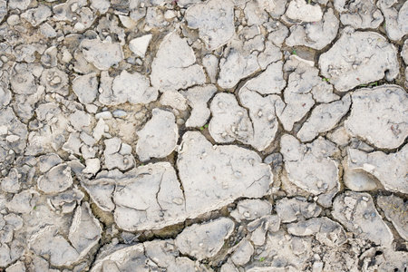Dry ground as a texture or background.