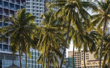 NHA TRANG, VIETNAM - JANUARY 25, 2019. Scenic summer view of the modern architecture with business skyscrapers, hotels and apartment buildings with a palm trees.のeditorial素材