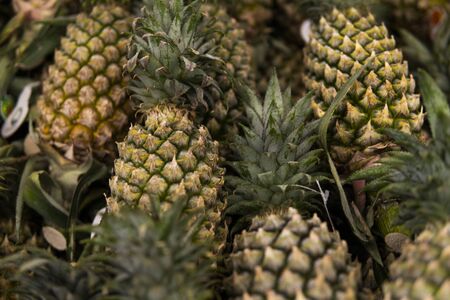 A lot of pineapple fruit on a market in asian country. Texture background from the pineapples. Tropical and exotic fruits. Healthy and vitamin food concept.の写真素材