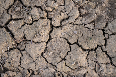 Cracked earth, cracked soil. Texture of grungy dry cracking parched earth. Global warming effect.