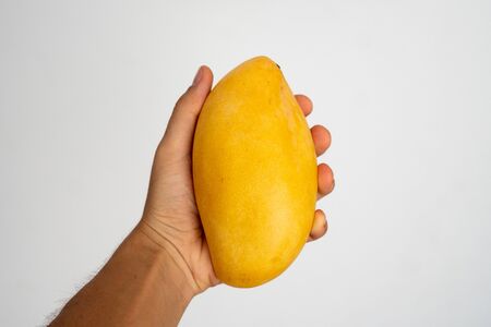 Female hand holding a ripe mango on a white background.の写真素材