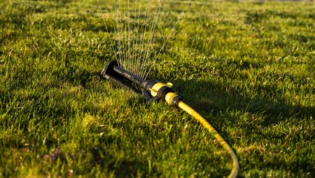 Lawn sprinkler spraying water over green grass. Modern device of irrigation garden grass. Irrigation system - technique of watering in the garden. Watering the Lawn with Sprinkler.の写真素材