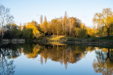 Park with a pond in a eveningの写真素材