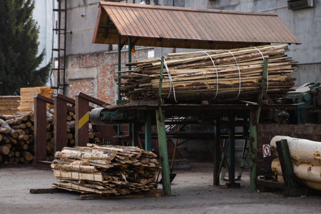 Bark removal from large logs on sawmill. Preparation of the wooden logs to sawing on a cutting line on a saw mill. Lumber industry. A pile of logs lie on a platform. Processing of timber at the sawmill.の写真素材