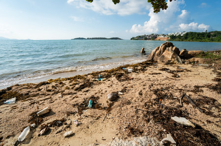 Waste on the sands causes environmental pollution. Trash on beach. Beach pollution. Plastic bottles...