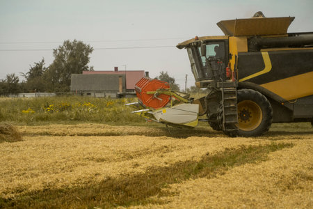 Combine harvester agriculture machine harvesting golden ripe wheat field. Agriculture. Combine...