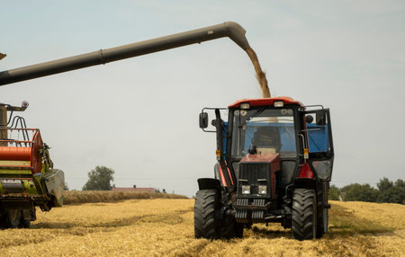 Combine harvester agriculture machine harvesting golden ripe wheat field. Harvester combine...