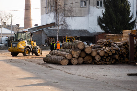 LUTSK, UKRAINE - May 10, 2020: Yellow wheel loader Excavator machine working at sawmill.