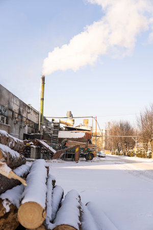A pile of logs on a sawmill under the layer of snow in the winter season.の写真素材