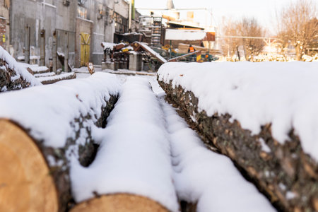 A pile of logs on a sawmill under the layer of snow in the winter season.の写真素材