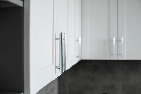 Modern minimalism style kitchen interior in monochrome tones. Custom kitchen with grey white...
