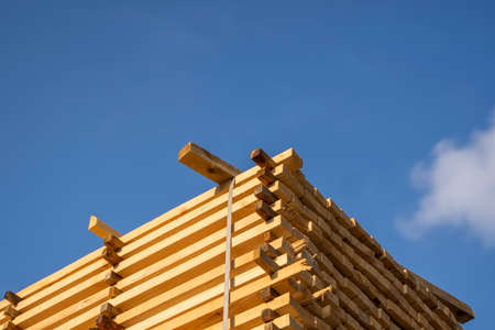 Storage of piles of wooden boards on the sawmill. Boards are stacked in a carpentry shop. Sawing drying and marketing of wood. Pine lumber for furniture production, construction. Lumber Industry.の写真素材