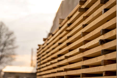 Storage of piles of wooden boards on the sawmill. Boards are stacked in a carpentry shop. Sawing drying and marketing of wood. Pine lumber for furniture production, construction. Lumber Industry.の写真素材