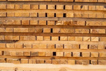 Storage of piles of wooden boards on the sawmill. Boards are stacked in a carpentry shop. Sawing drying and marketing of wood. Pine lumber for furniture production, construction. Lumber Industry.の写真素材